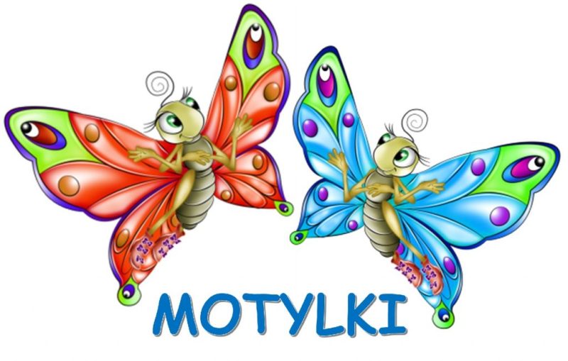 motylki-1024x651