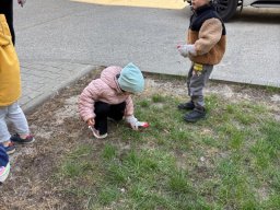 Dzień Ziemi